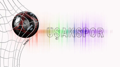 usakspor 3