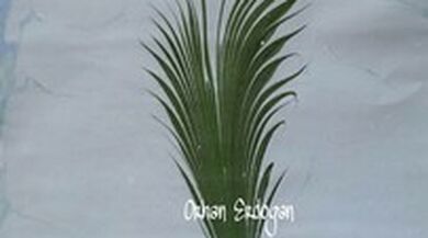 orhan erdogan06